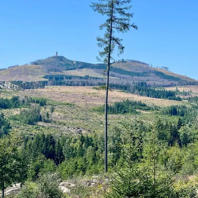 Brocken-Plateu