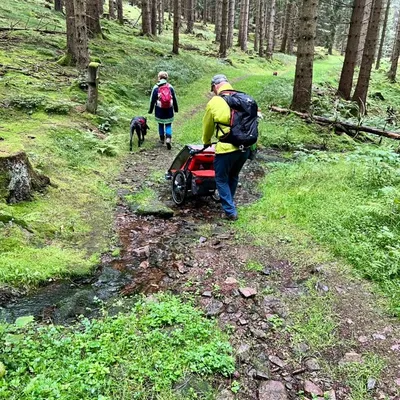 Waldspaziergang im Thüringer Wald